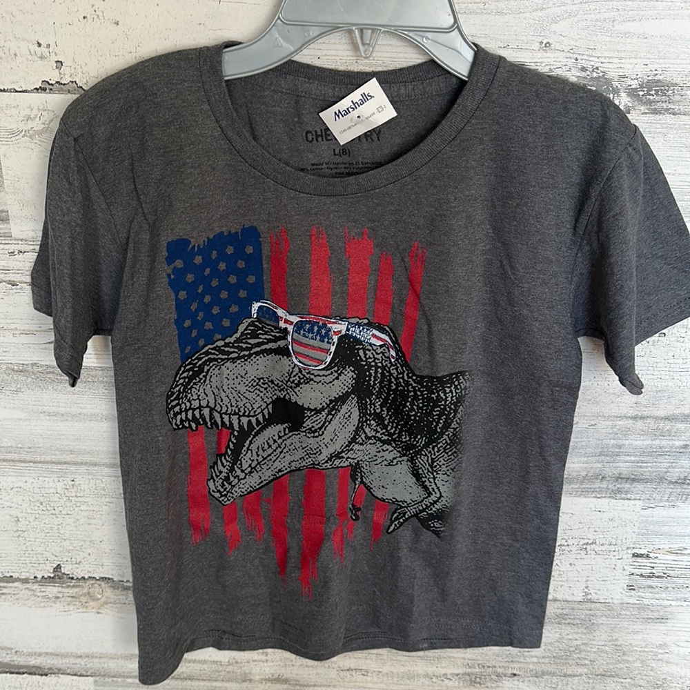 Chemistry Kids Gray Tee with Red & Blue Dino Flag Graphic